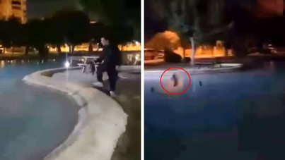 Antalya’da vicdansızlık! Sokak kedisini defalarca havuza attılar