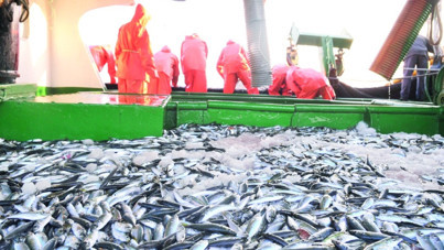 Türkiye, Akdeniz Genel Balıkçılık Komisyonu Başkanlığı'na seçildi