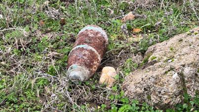 Mantar toplarken top mermisi buldular