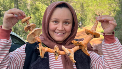 Ormandan topluyorlar, 400 liraya alıcı buluyor