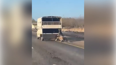 Dehşet: Kamyonetin arkasına bağladığı atı dakikalarca sürükledi