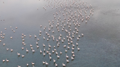 İran'daki göl kuruyunca yüzlercesi Türkiye'ye akın etti