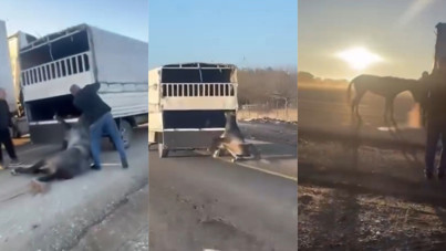 Kamyonetin arkasında sürüklenen atla ilgili valilikten açıklama