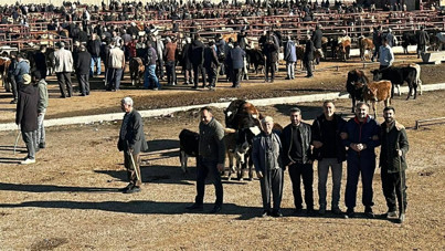 Dert yandı: Fiyatı altın gibi, alınmıyor