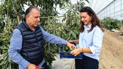 4 kuşaklık aile geleneği tropikal meyve üretimiyle yeniden doğdu