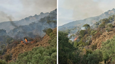 Aydın'da orman yangını