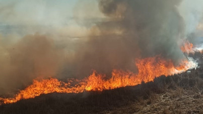Beyşehir’de sazlıklar alev alev yandı