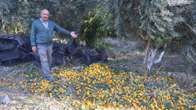 Afet onları teğet geçti ama tonlarca ürün elde kaldı: Bedava dağıttılar