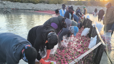 Fiyatları karşılaştırıp isyan etti: Allah'tan korksunlar