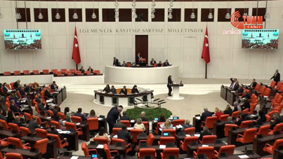 CHP ve DEM Parti'nin kadına yönelik şiddetin nedenlerinin araştırılması önerisi reddedildi