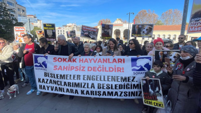İstanbul Valiliği'nin sokak hayvanları genelgesine yurttaşlardan tepki