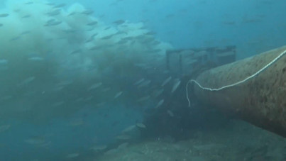 Boğazın dibinde korkunç görüntü: Pis su böyle akıyor!