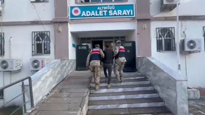 Zeytin bahçesinde 625 bin adet uyuşturucu ecza hap ele geçirildi