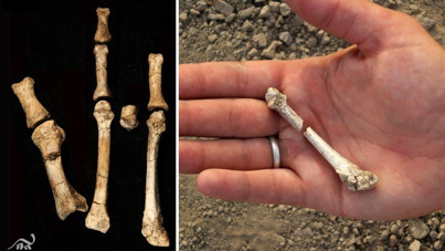 3.4 milyon yıllık ayak fosilinin gizemli sahibi bulundu