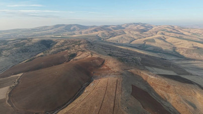 40 yılda yetişti, 4 günde kesildi