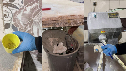 Ekmek fırınında mide bulandıran görüntü! Böcekler cirit atıyor