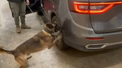 Kilolarca uyuşturucuyu ülkeye getirirken yakalandı