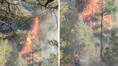 Hatay'da orman yangını