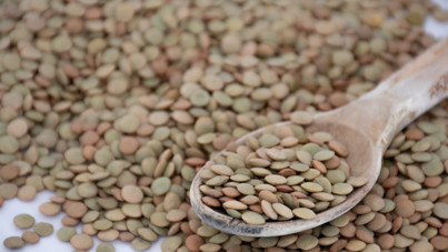 Mercimek ve yulaf ithalatında gümrük vergileri düşürüldü