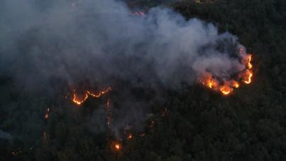 Artvin’de örtü yangını