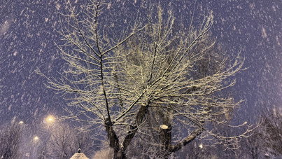 Kar yağışı kenti beyaza bürüdü