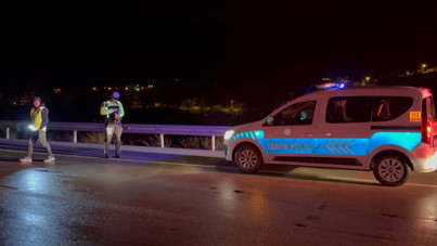 Yolun karşısına geçmek isterken canından oldu