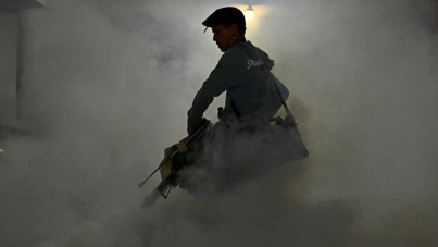 Küba'da sivrisinek alarmı: 33 kişi öldü