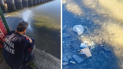 Su akışı kesildi, balıklar oksijensiz kaldı