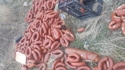 Yüzlerce kilo! Başkent'te boş araziye atıldı