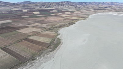 40 yılda yüzde 94 kayıp! Kuş Cenneti’nden geriye sessizlik kaldı