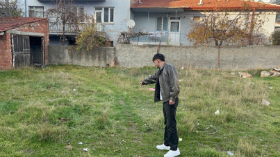 Kedi katliamı: İşkence yaparak öldürdüler