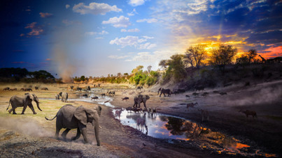 National Geographic seçti: İşte 2025'e damga vuran fotoğraflar
