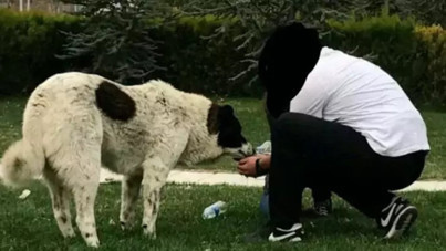 ABB’den Matmazel raporu: Darbedilerek öldürüldü