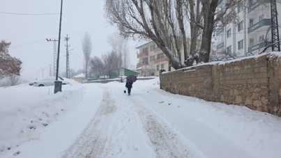Van’da kar esareti: 90 yerleşim yerine ulaşım sağlanamıyor