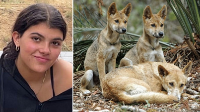 Sırt çantasıyla dünyayı geziyordu... Dingo sürüsünden kaçarken öldü