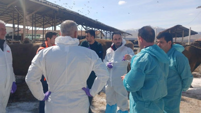 Malatya TİGEM'de şap hastalığı: Bölge karantinada