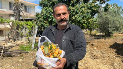 Talep azalınca, çareyi bedava dağıtmakta buldu