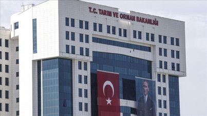 Bakanlıktan “yapay et” açıklaması