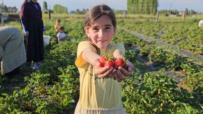 Ne aracı var ne komisyon: Hem vatandaş hem de üretici kazandı