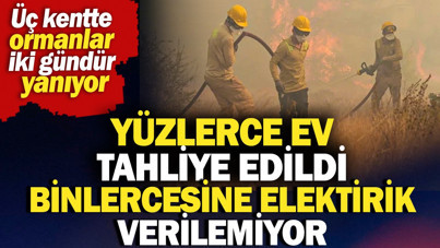 Antalya, Adana ve Mersin'de orman yangınları sürüyor
