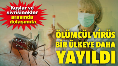 Ölümcül virüs bir ülkeye daha yayıldı