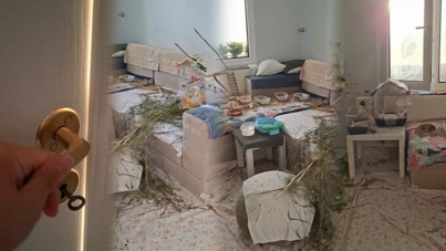 14 papağanın yaşadığı oda görüntülendi. Tüyler ve dallar dikkat çekti
