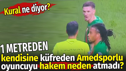 Bir metreden kendisine küfreden Amedsporlu oyuncuyu hakem neden atmadı? Kural ne diyor?