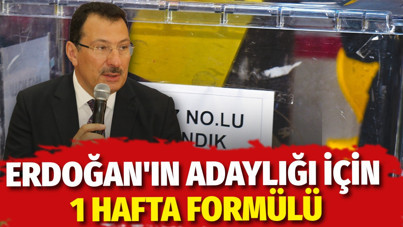 Erdoğan'ın adaylığı için 1 hafta formülü