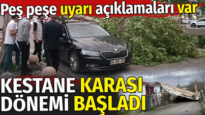 Kestane karası dönemi başladı. Peş peşe uyarı açıklamaları var