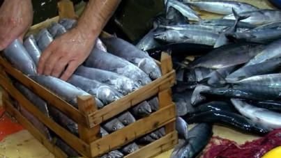 Palamutu kara kışta da yemek mümkün. İşte geleneksel saklama yöntemi