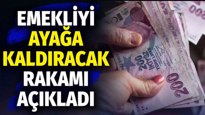 Emekliyi ayağa kaldıracak rakamı açıkladı