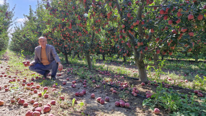 Dalında 25 liraydı, şimdi 10 liraya bile zor alıcı buluyor