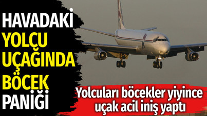 Yolcu uçağında böcek paniği. Yolcuları böcekler yiyince uçak acil iniş yaptı