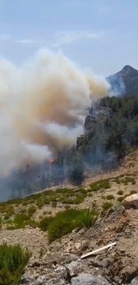 Mersin'de orman yangını - Resim : 1